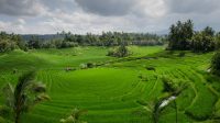 IMG-20260925-WA0045